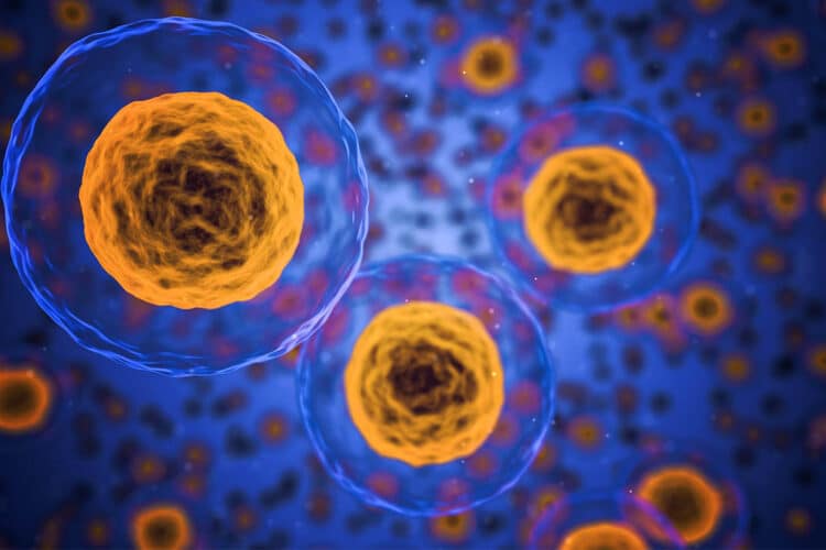 التعدين الحديدي الميكروبي